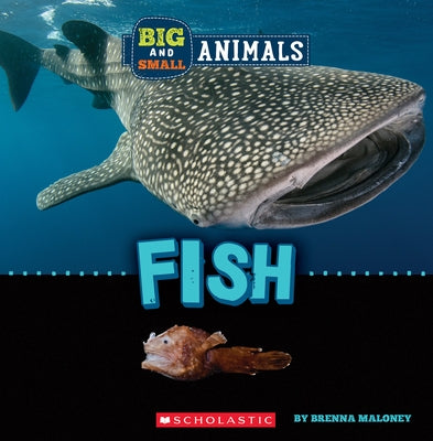 Big and Small: Fish (Wild World) by Maloney, Brenna