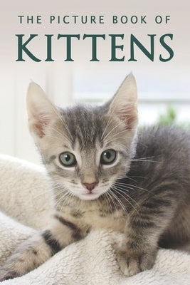 The Picture Book of Kittens: A Gift Book for Alzheimer's Patients or Seniors with Dementia by Books, Sunny Street