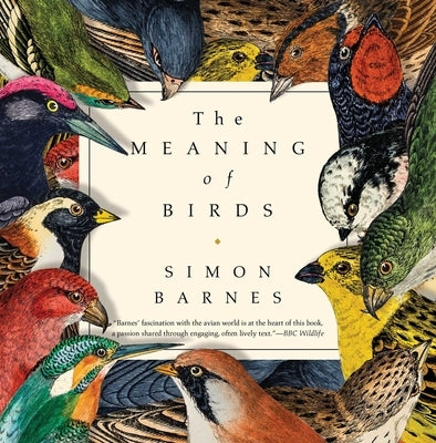 The Meaning of Birds by Barnes, Simon