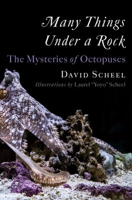 Many Things Under a Rock: The Mysteries of Octopuses by Scheel, David