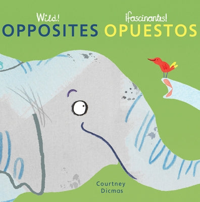 Opposites/Opuestos by Dicmas, Courtney