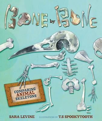 Bone by Bone: Comparing Animal Skeletons by Levine, Sara