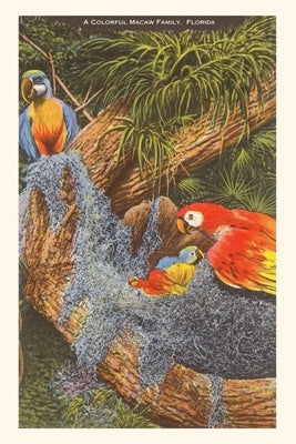 Vintage Journal Macaws, Florida by Found Image Press