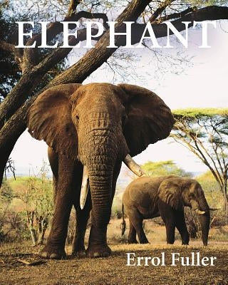 Elephant by Fuller, Errol