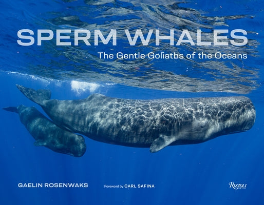 Sperm Whales: The Gentle Goliaths of the Ocean by Rosenwaks, Gaelin