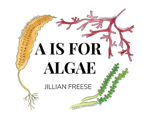 A is for Algae by Freese, Jillian