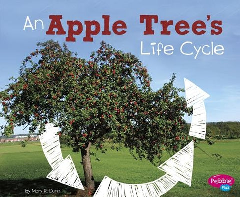 An Apple Tree's Life Cycle by Dunn, Mary R.