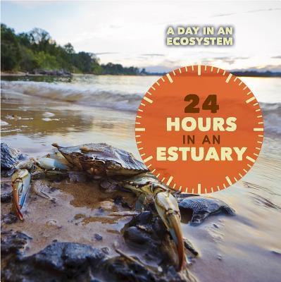 24 Hours in an Estuary by Sullivan, Laura