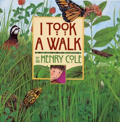 I Took a Walk by Cole, Henry