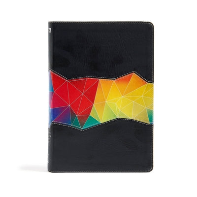 Rainbow Study Bible-NIV-Kaleidoscope by Holman Bible Staff