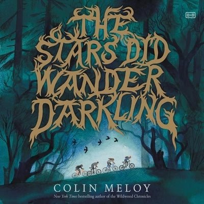The Stars Did Wander Darkling by Meloy, Colin