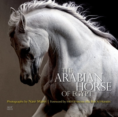 The Arabian Horse of Egypt by Marei, Nasr