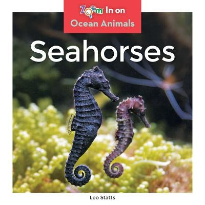 Seahorses by Statts, Leo