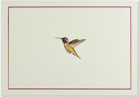 Note Card Hummingbird Flight by Peter Pauper Press, Inc