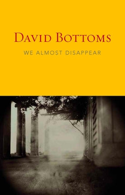 We Almost Disappear by Bottoms, David