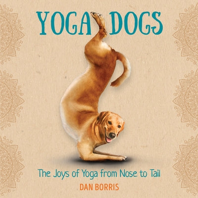 Yoga Dogs by Borris, Dan