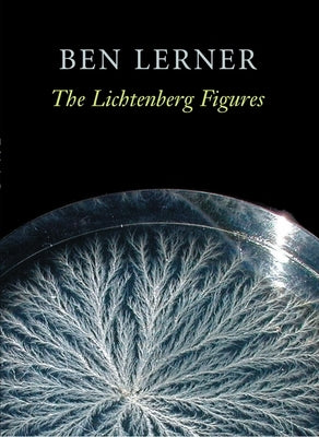 The Lichtenberg Figures by Lerner, Ben