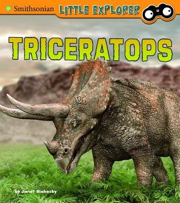 Triceratops by Riehecky, Janet