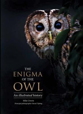 The Enigma of the Owl: An Illustrated Natural History by Unwin, Mike
