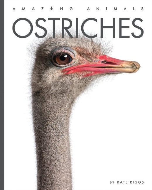 Ostriches by Riggs, Kate