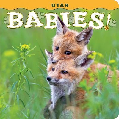 Utah Babies! by Lehmann, Steph