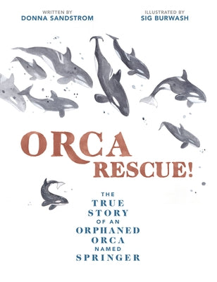 Orca Rescue!: The True Story of an Orphaned Orca Named Springer by Sandstrom, Donna