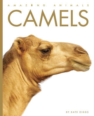 Camels by Riggs, Kate