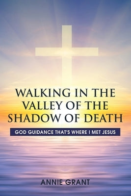 Walking in the Valley of the Shadow of Death: God guidance that's where I met Jesus by Grant, Annie