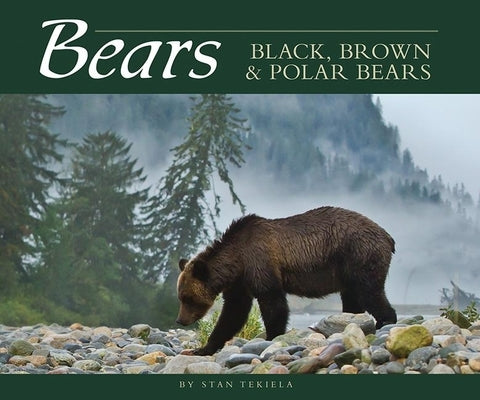 Bears: Black, Brown & Polar Bears by Tekiela, Stan