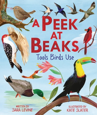 A Peek at Beaks: Tools Birds Use by Levine, Sara