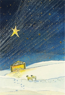 The Guiding Star Small Boxed Holiday Cards by 