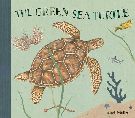 The Green Sea Turtle by M&#252;ller, Isabel