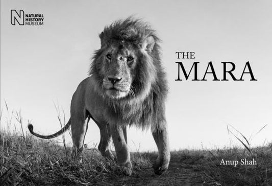 The Mara by Shah, Anup