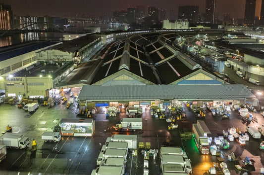 Tsukiji Fish Market: Memories: 2006-2018 by Beall, David