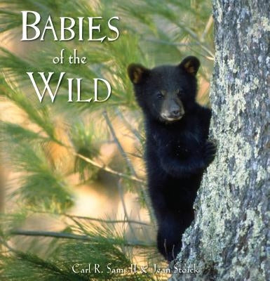 Babies of the Wild by Sams, Carl R., II