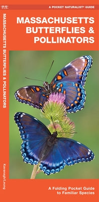 Massachusetts Butterflies & Pollinators: A Folding Pocket Guide to Familiar Species by Kavanagh, James
