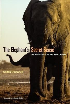 The Elephant's Secret Sense: The Hidden Life of the Wild Herds of Africa by O'Connell, Caitlin