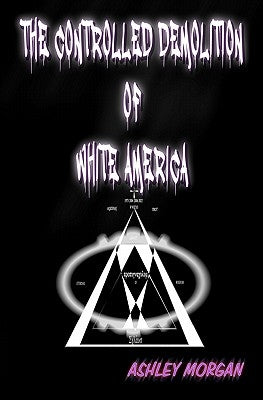 The Controlled Demolition of White America by Morgan, Ashley