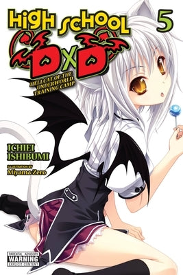 High School DXD, Vol. 5 (Light Novel): Hellcat of the Underworld Training Camp by Ishibumi, Ichiei