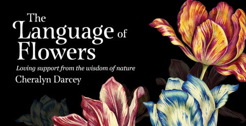 The Language of Flowers: Loving Support from the Wisdom of Nature (40 Full-Color Affirmation Cards) by Darcey, Cheralyn