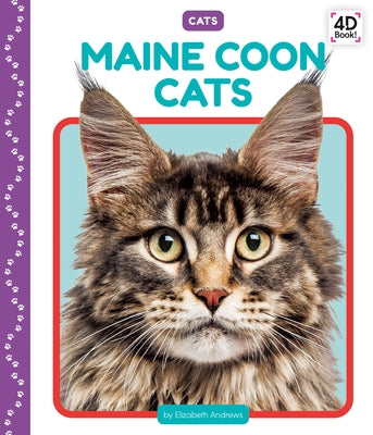 Maine Coon Cats by Andrews, Elizabeth