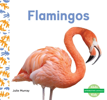 Flamingos by Murray, Julie