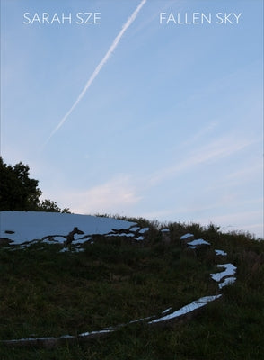 Sarah Sze: Fallen Sky by Sze, Sarah