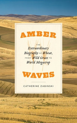 Amber Waves: The Extraordinary Biography of Wheat, from Wild Grass to World Megacrop by Zabinski, Catherine