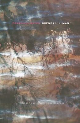 Practical Water by Hillman, Brenda