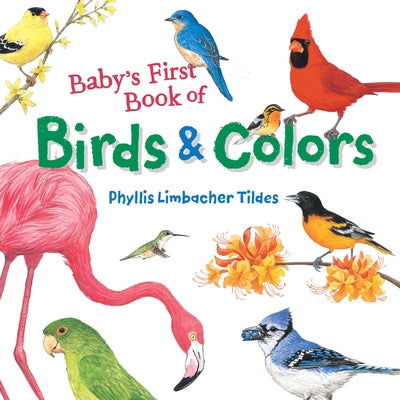 Baby's First Book of Birds & Colors by Tildes, Phyllis Limbacher