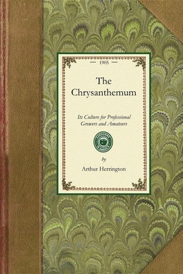 Chrysanthemum: Its Culture for Professional Growers and Amateurs: A Practical Treatise on Its Propagation, Cultivation, Training, Rai by Herrington, Arthur