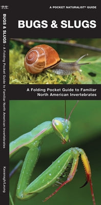 Bugs & Slugs: A Folding Pocket Guide to Familiar North American Invertebrates by Kavanagh, James