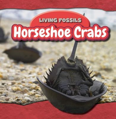 Horseshoe Crabs by Wendt Hemstock, Annie