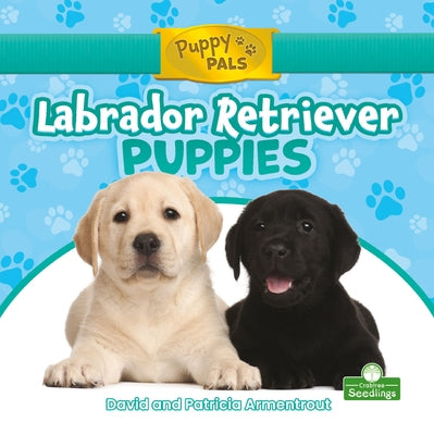 Labrador Retriever Puppies by Armentrout, David